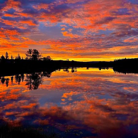 Burns Lake Bed And Breakfast ภายนอก รูปภาพ